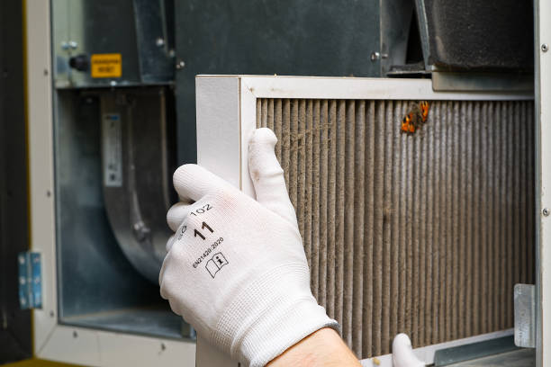 Best Home Air Vent Cleaning  in Pion Hills, CA
